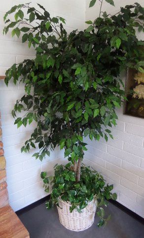 SILK DOUBLE TRUNK TREE WITH PLANT AT BASE