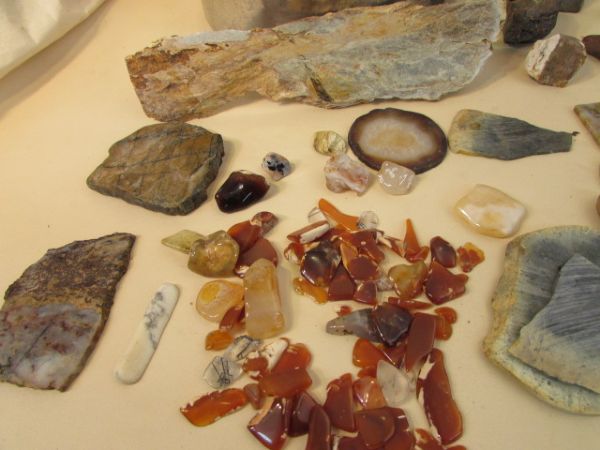 LARGE VARIETY LOT OF  LAPIDARY/TUMBLE ROCK/SLABS 