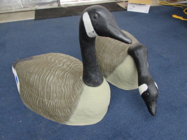 HUGE CANADIAN GEESE DECOYS!  B-52's!!