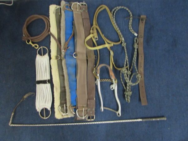 HORSE CINCHES, BRIDLE, RIDING WHIP & MORE