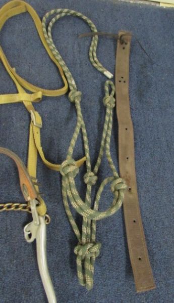 HORSE CINCHES, BRIDLE, RIDING WHIP & MORE