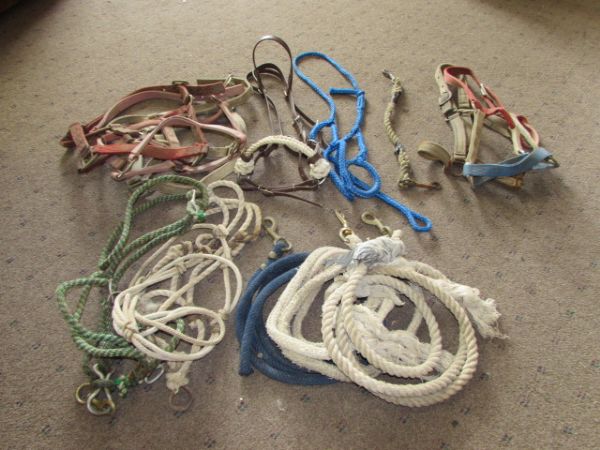 VARIETY OF HORSE GEAR