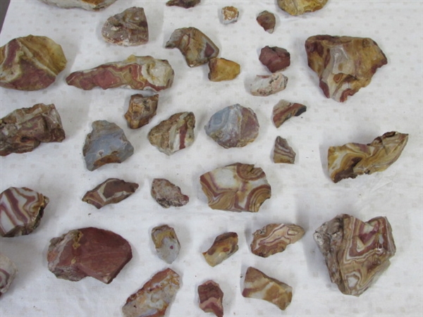 COLORFUL SELECTION OF AGATIZED RHYOLITE