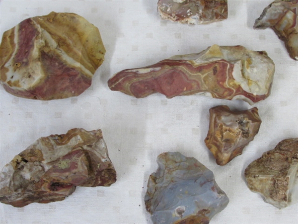 COLORFUL SELECTION OF AGATIZED RHYOLITE