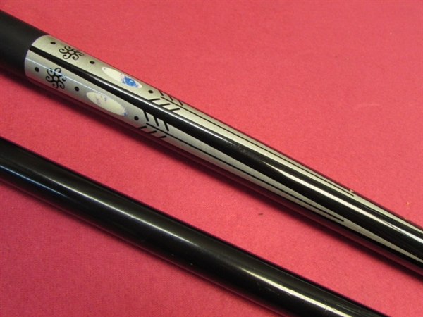 BE A REAL POOL SHARK WHEN YOU BRING YOUR OWN STICK!  NICE POOL STICK IN CARRY CASE