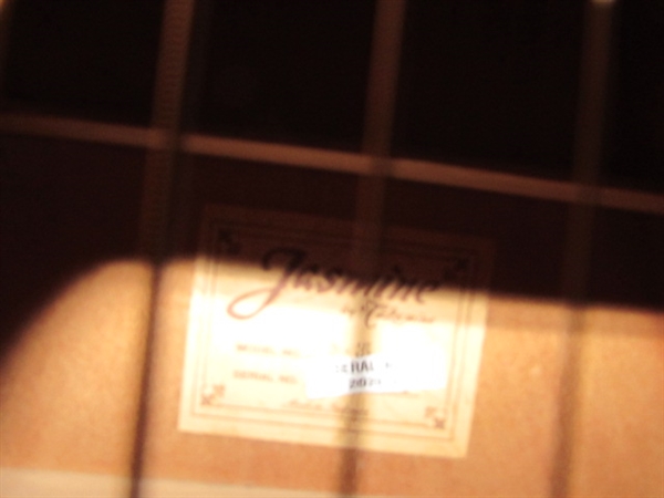 IT'S A NEW YEAR!! TIME LEARN TO PLAY THE GUITAR!  TRY THIS NICE TAKAMINE GUITAR  