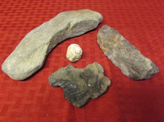 FOSSILS & ANCIENT TOOLS-VERY COOL ARTIFACTS!