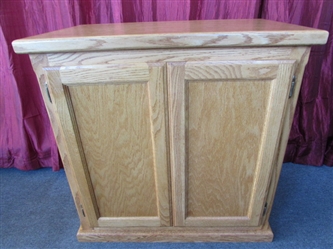 VERY NICE SOLID GOLDEN OAK CABINET-ATTRACTIVE PIECE TO STORE A/V COMPONENTS, DISCS, ?