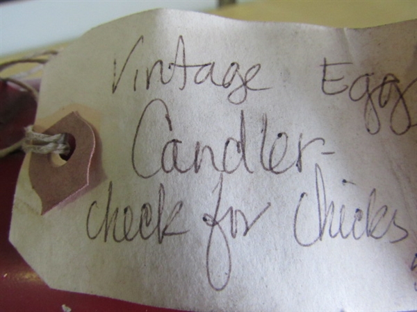 ARE THERE CHICKS IN THERE?? VINTAGE EGG CANDLER