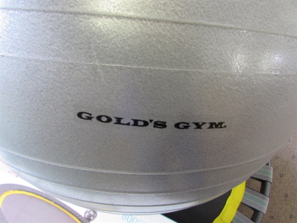 GOLDS GYM CIRCUIT TRAINER TRAMPOLINE & EXCERSIZE BALL