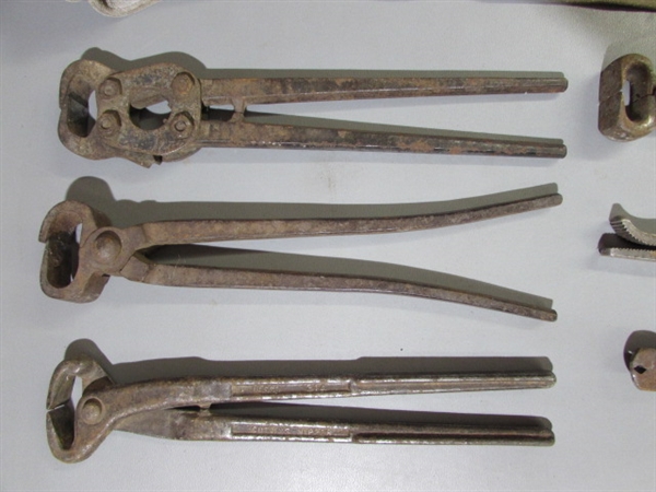 VINTAGE HORSESHOE SNIPPERS & CHAPS