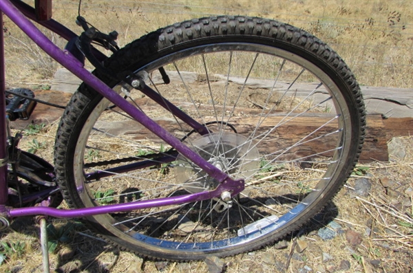 WOMEN'S 15-SPEED FREE SPIRIT BICYCLE