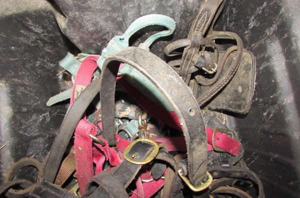 TUB WITH HORSE TACK, HALTERS, LEADS, ETC.