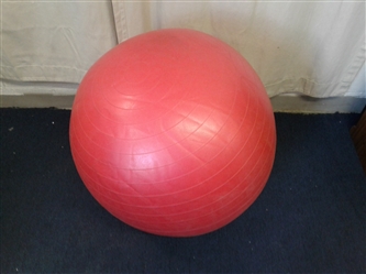 Bodyfit Exercise Ball w/Pump and Pedometer