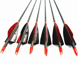 MS Jumpper Archery Carbon Arrows, High Percentage Carbon-Fiber Arrows 6Pack