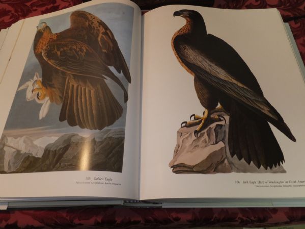 AUDUBON'S BIRDS OF AMERICA - THE NATIONAL AUDUBON SOCIETY BABY ELEPHANT FOLIO