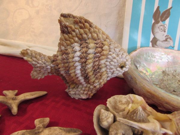 OLD SHELL COLLECTION WITH SHELLCRAFT CREATIONS BOOKLETS