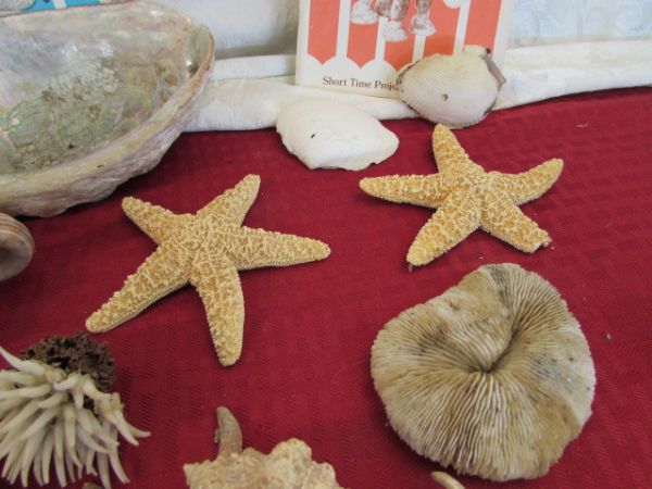 OLD SHELL COLLECTION WITH SHELLCRAFT CREATIONS BOOKLETS