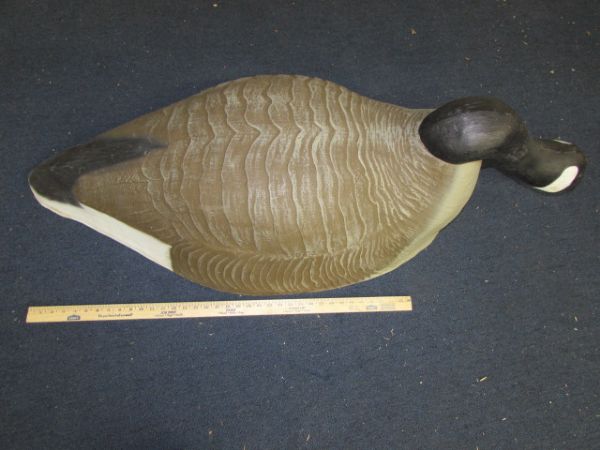 HUGE CANADIAN GEESE DECOYS - PAIR OF HEAD DOWN GEESE