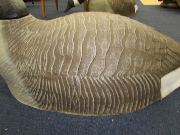 HUGE CANADIAN GEESE DECOYS - PAIR OF HEAD DOWN GEESE