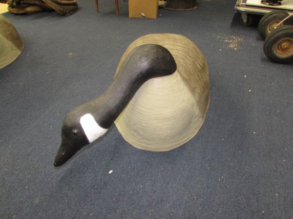 HUGE CANADIAN GEESE DECOYS - PAIR OF HEAD DOWN GEESE