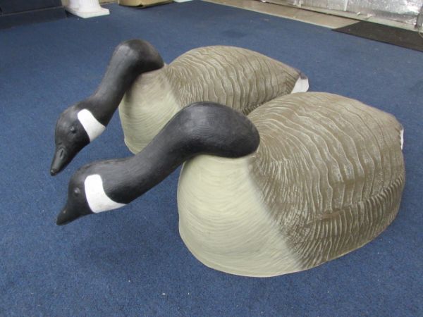 HUGE CANADIAN GEESE DECOYS - PAIR OF HEAD DOWN GEESE