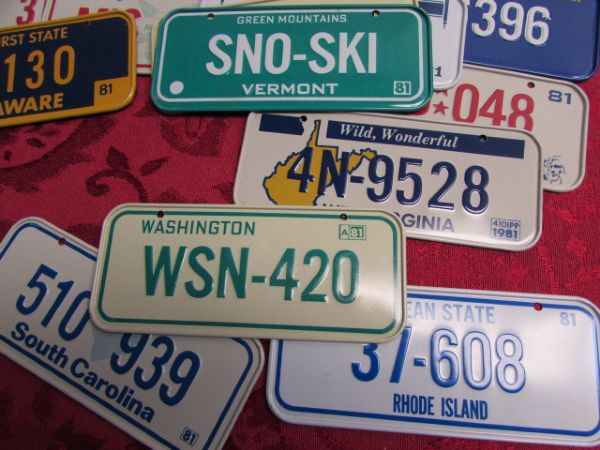 COLLECTION OF MINIATURE METAL LICENSE PLATES