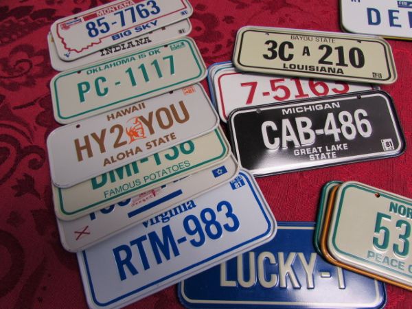 COLLECTION OF MINIATURE METAL LICENSE PLATES