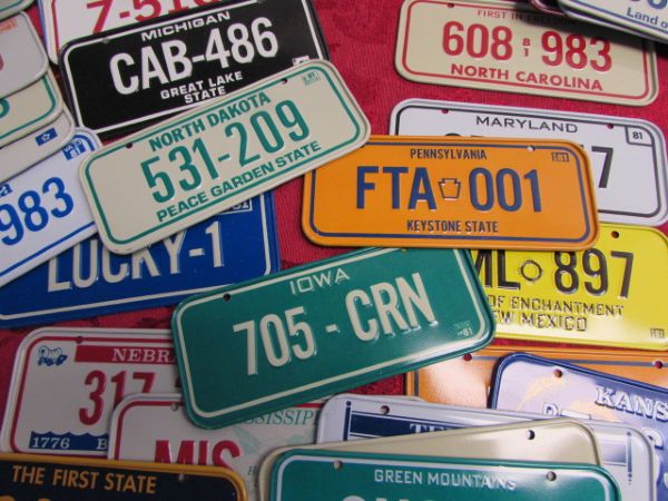 COLLECTION OF MINIATURE METAL LICENSE PLATES