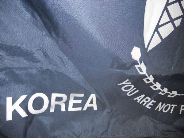 P.O.W. FLAG