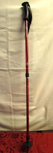 TAKE A HIKE!  SWISS GEAR HIKING STICK WITH COMPASS
