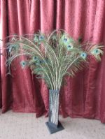 OVER 40 GORGEOUS PEACOCK FEATHERS & METAL CD RACK