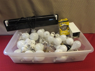 OODLES OF LIGHT BULBS - BOX FULL OF VARIOUS SIZES & STYLES OF BULBS PLUS A WORKING BLACK LIGHT!