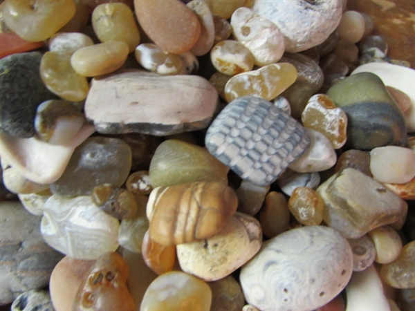 GALLON GLASS JAR FULL OF AGATES & OTHER STONES
