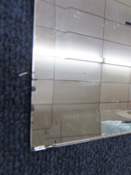 FULL LENGTH BEVELED EDGE DOOR MIRROR