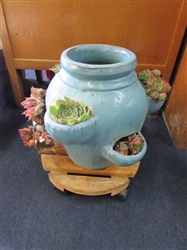 HENS & CHICKS WITH FLOWER POT AND STAND