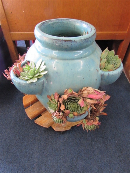 HENS & CHICKS WITH FLOWER POT AND STAND