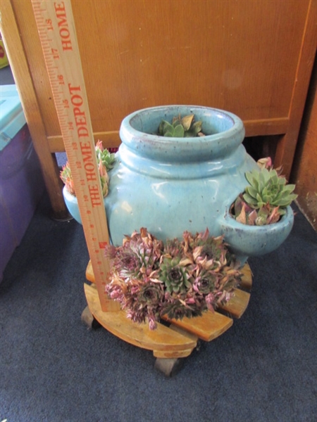 HENS & CHICKS WITH FLOWER POT AND STAND