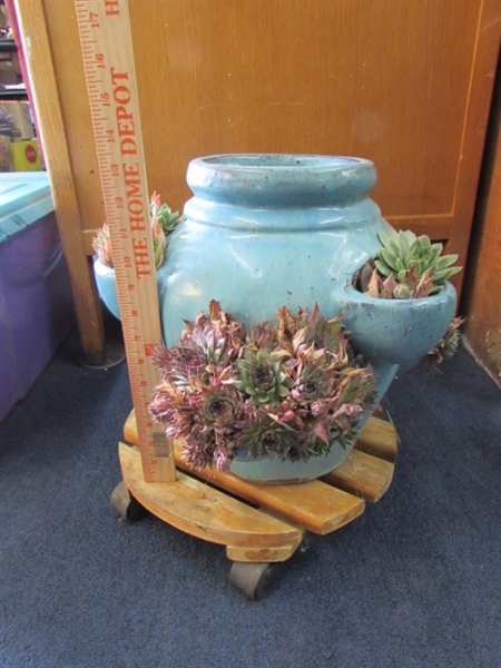 HENS & CHICKS WITH FLOWER POT AND STAND