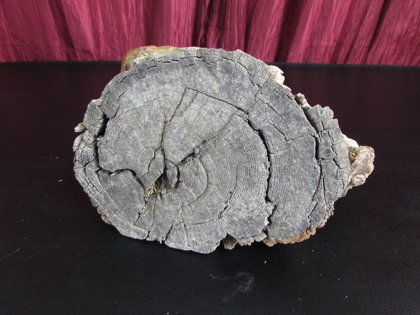 BURL WOOD CARVED FACE