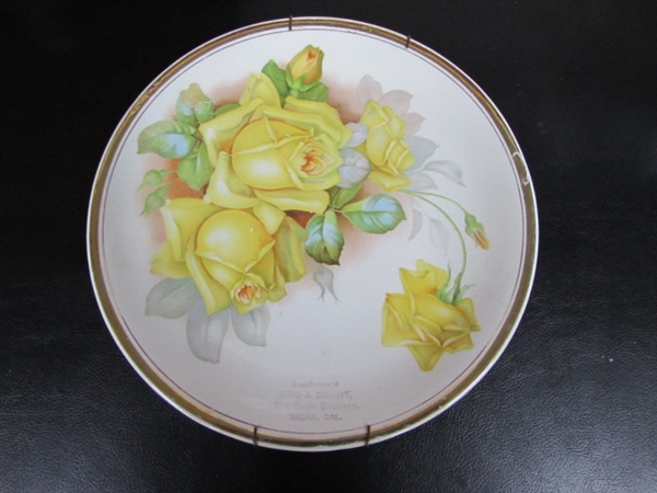 MOSTLY LOCAL COLLECTORS PLATE COLLECTION