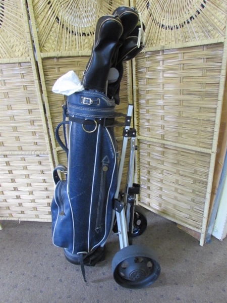 COMPLETE GOLF SET