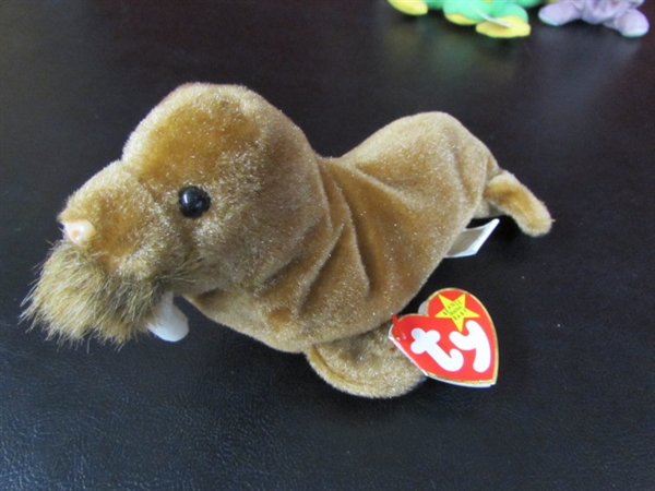 TY BEANIE BABIES