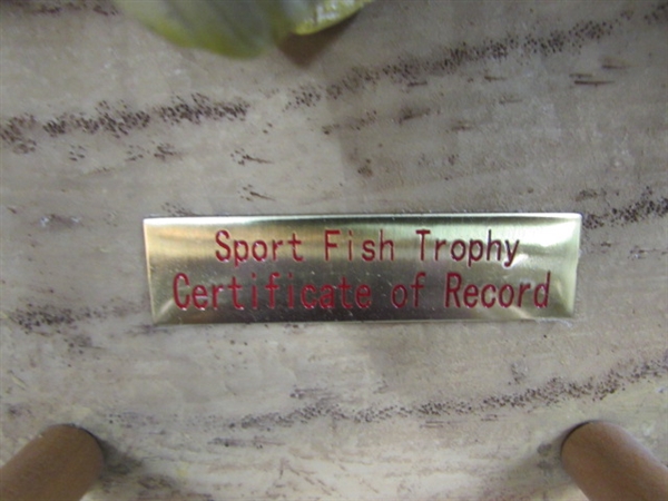 TELL THEM YOUR FISH STORY