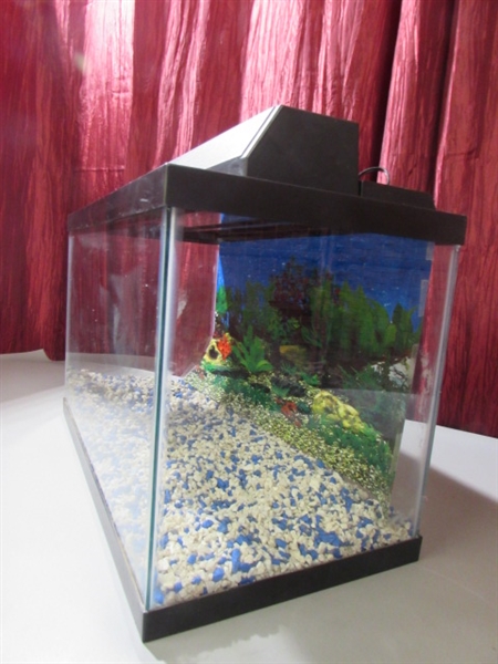 AQUARIUM