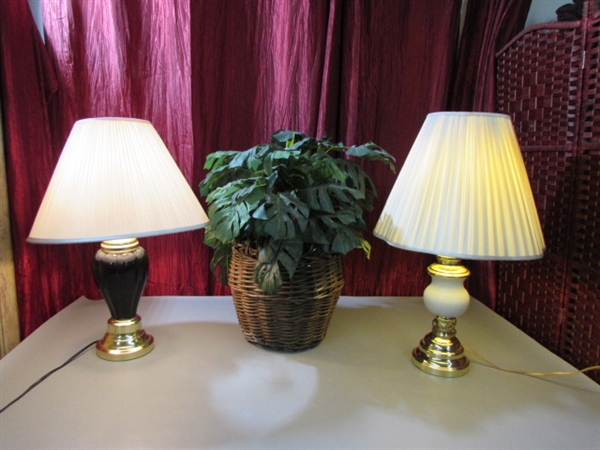 2 TABLE LAMPS & A FOREVER PLANT