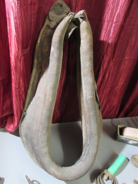 VINTAGE HORSE COLLAR & HOOF FILES