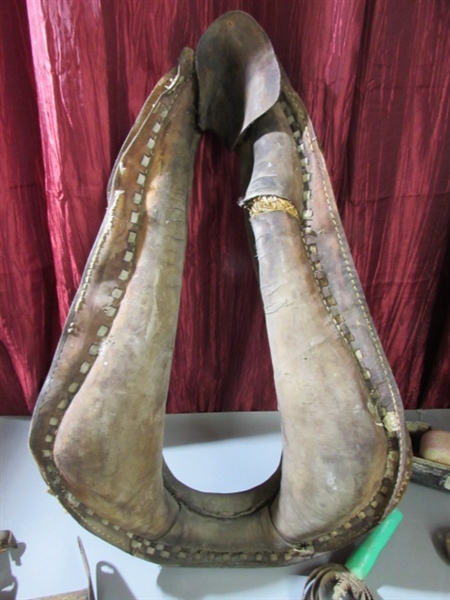 VINTAGE HORSE COLLAR & HOOF FILES