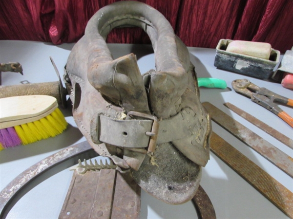 VINTAGE HORSE COLLAR & HOOF FILES