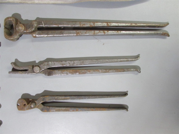 VINTAGE HORSESHOE SNIPPERS & CHAPS